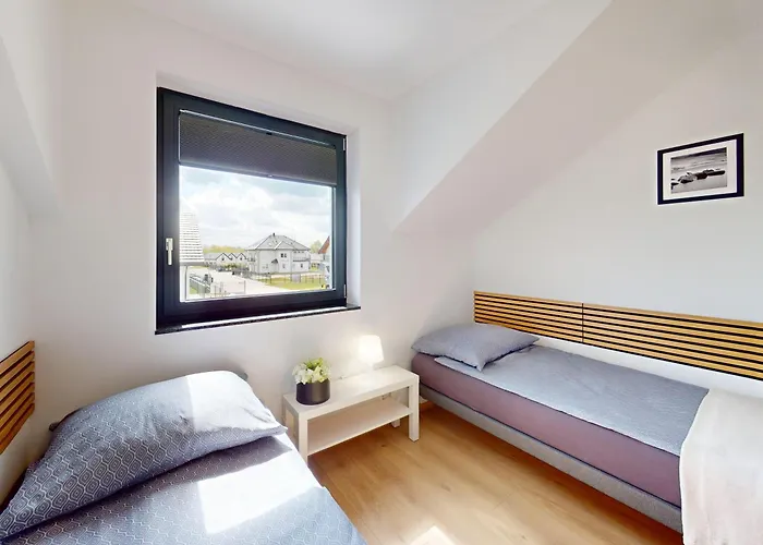 Soleil サルビノボ