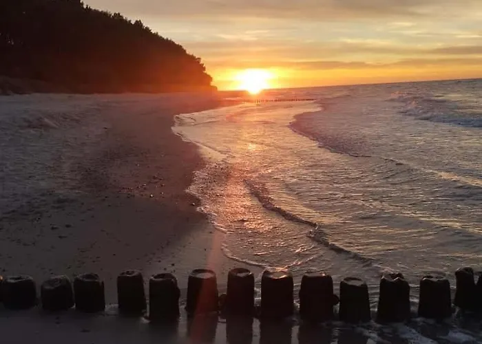 Soleil サルビノボ